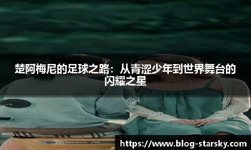 星空体育官网