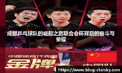 星空体育官网入口